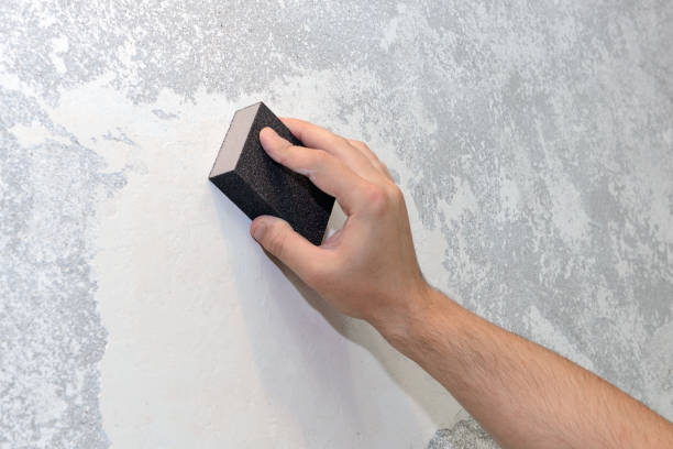 Best Forensic Mold Investigation  in Poncha Springs, CO