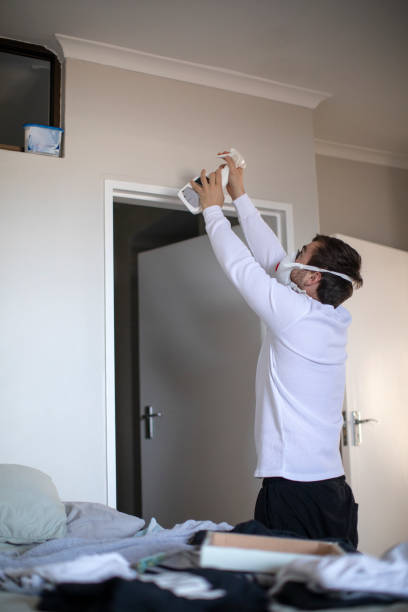 Best Mold Damage Restoration  in Poncha Springs, CO