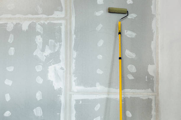 Best Asbestos and Lead Testing During Mold Inspection  in Poncha Springs, CO