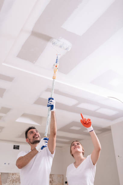 Best Mold Remediation for Healthcare Facilities  in Poncha Springs, CO