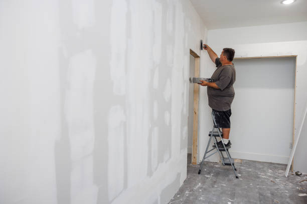 Best Environmental Consulting for Mold Prevention  in Poncha Springs, CO