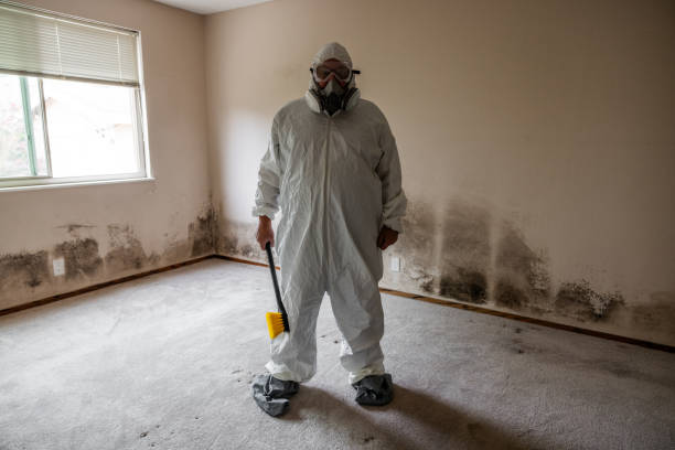 Best Industrial Mold Remediation  in Poncha Springs, CO